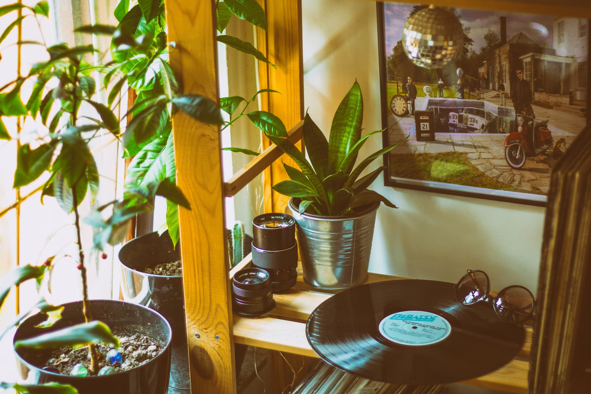 Plantas decorando un salón junto a un disco de vinilo